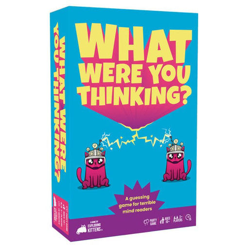 Picture of What Were You Thinking?